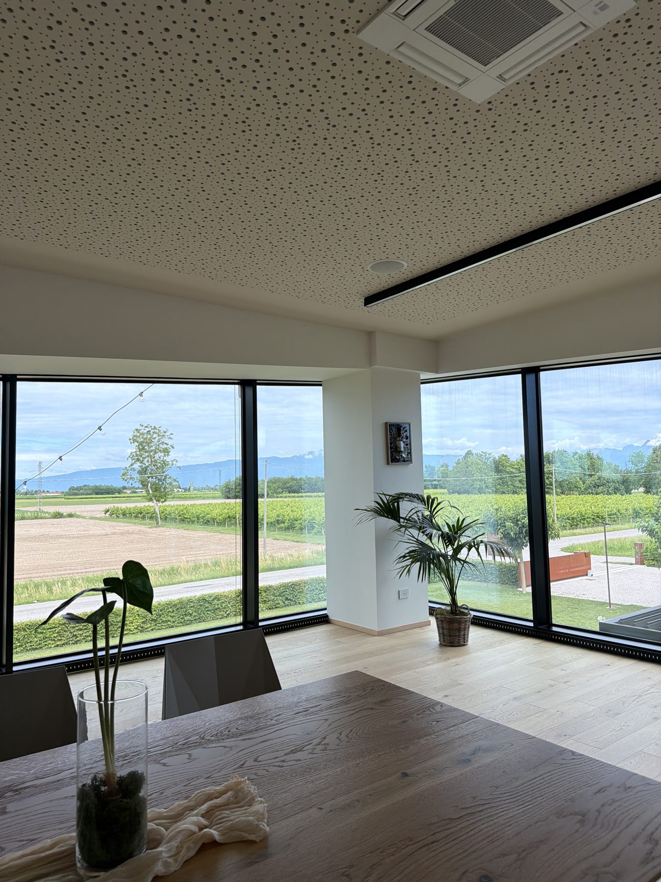 Corner windows of the tasting room with a view of the vineyards