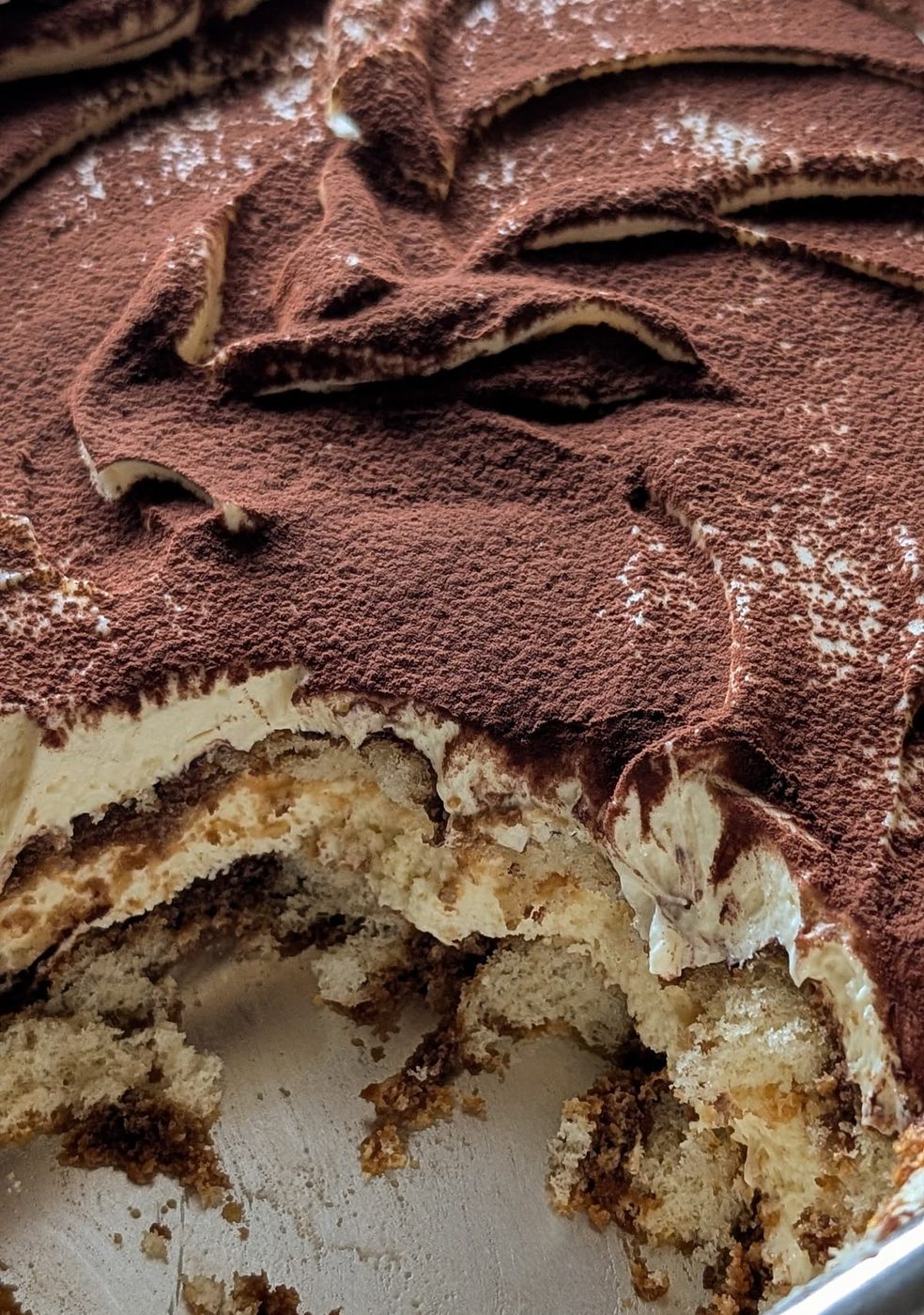 A tiramisù dusted with cocoa, freshly cut
